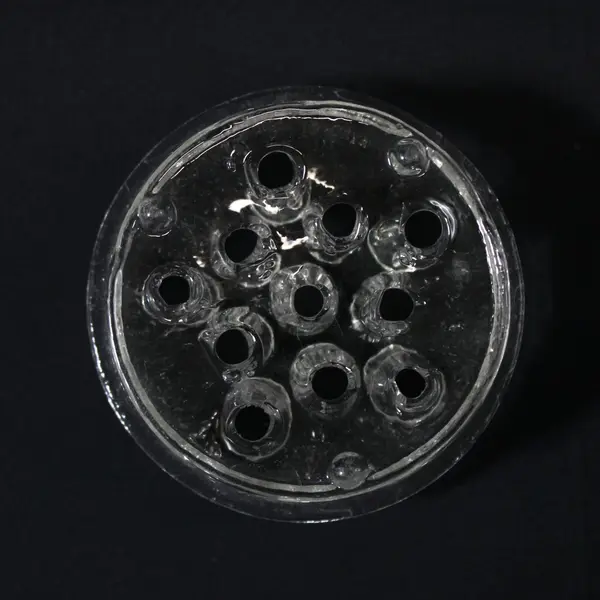 11 Hole 3.25 Inch Clear Glass Flower Frog