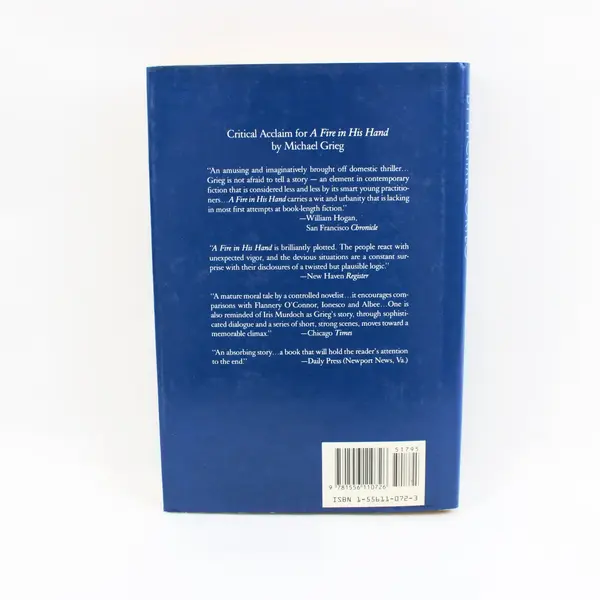 VTG The Age of Wonder by Michael Grieg Novel Fiction 1988 Hardcover Dust Jacket