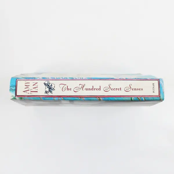 Vintage The Hundred Secret Senses An Amy Tan Novel 1st Edition 1995 HC DJ