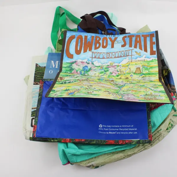 Lot of 5 American Destinations Grocery Bags Oregon Wyoming Reusable
