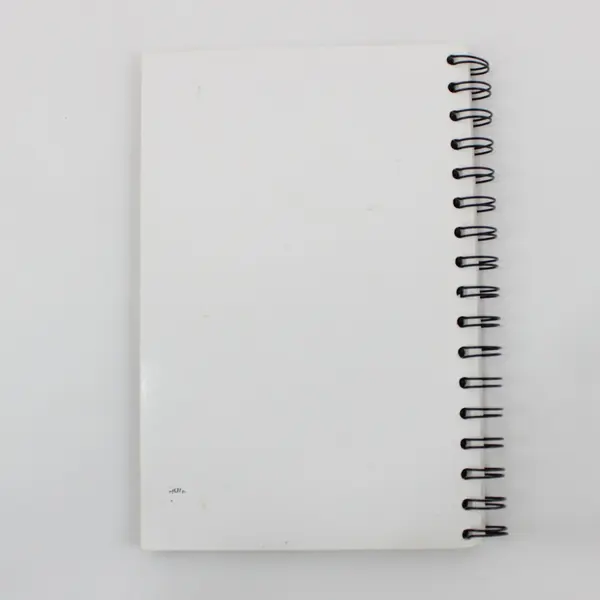 Traeger Everyday Cookbook Spiral Bound Grilling Recipes Wood-Fired Cooking