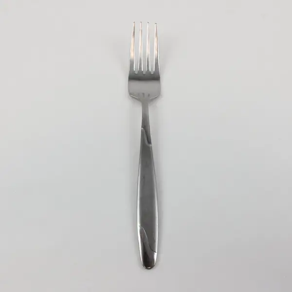 Oneida 18/0 Stainless Steel Salad Fork 7.25in