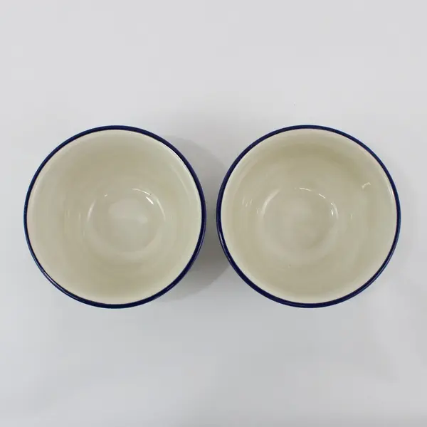 Set of 2 Vallarta by Pier 1 All Purpose Bowls 6" Diameter
