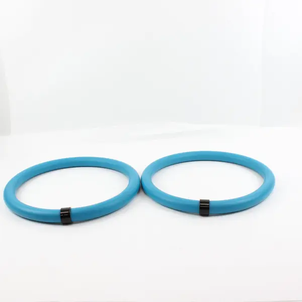 Set of 2 Blue Arm Exercise Hoops 1/2 lb Each Fitness Weights