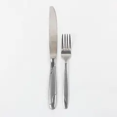 Lot of 2 Oneida Stainless Flatware Dinner Knife Salad Fork