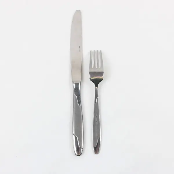 Lot of 2 Oneida Stainless Flatware Dinner Knife Salad Fork