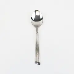 Farberware Millennium Stainless Steel Teaspoon Single Spoon