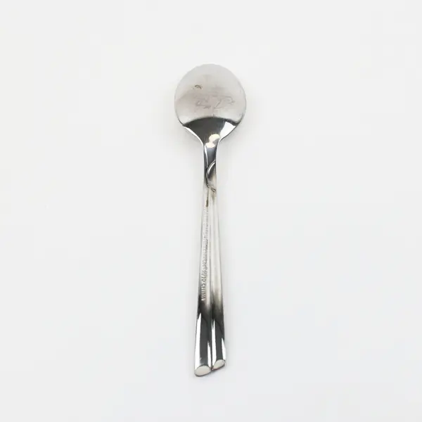 Farberware Millennium Stainless Steel Teaspoon Single Spoon