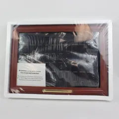 50 State Quarters Display Case Only No Quarters