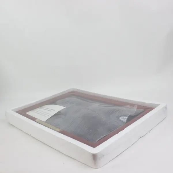 50 State Quarters Display Case Only No Quarters
