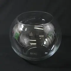 Clear Glass Round Bubble Bowl Vase 7 Inch Diameter Vase Fish Bowl Terrarium