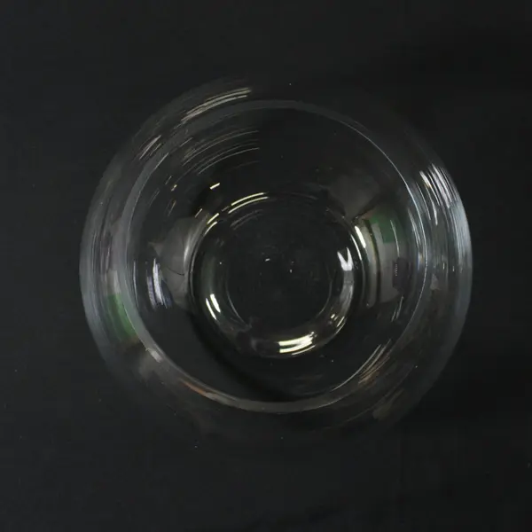 Clear Glass Round Bubble Bowl Vase 7 Inch Diameter Vase Fish Bowl Terrarium