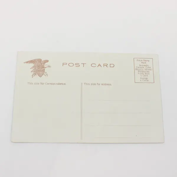 Antique Great Falls & Grand Canon Yellowstone National Park Litho Postcard 