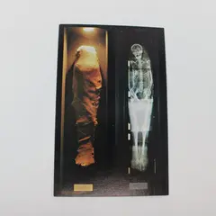 Vintage Museum of Science Natural History St Louis Mummy X-Ray Postcard