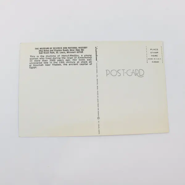 Vintage Museum of Science Natural History St Louis Mummy X-Ray Postcard