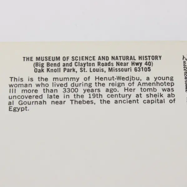 Vintage Museum of Science Natural History St Louis Mummy X-Ray Postcard