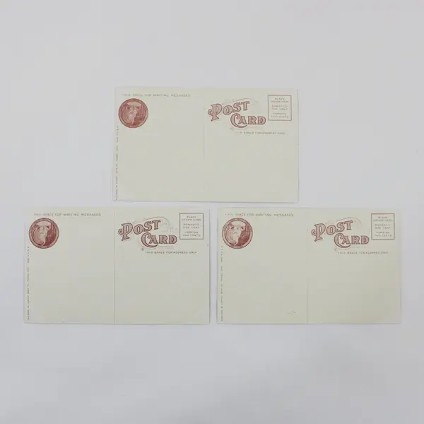 Lot Of 3 Alaska Yukon Exposition 1909 Agricultural Building Litho Postcards 