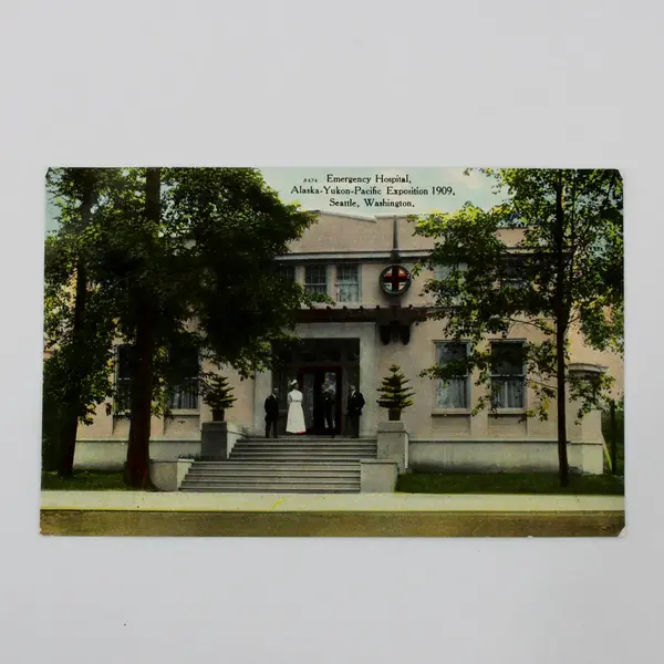 Lot Of 3 Alaska Yukon Exposition 1909 Seattle Buildings Litho Postcards 