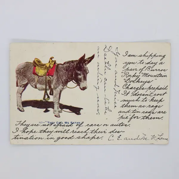 Antique 1906 Colorado They Call Me Satan Saddled Burro Donkey Postcard
