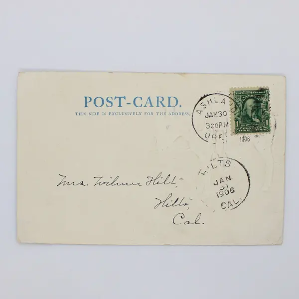 Antique 1906 Colorado They Call Me Satan Saddled Burro Donkey Postcard