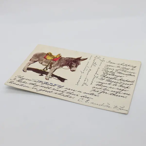 Antique 1906 Colorado They Call Me Satan Saddled Burro Donkey Postcard