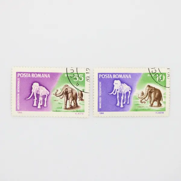 Lot of 5 Romania 1966 Prehistoric Animals Stamps SC #1887-91 Used OG