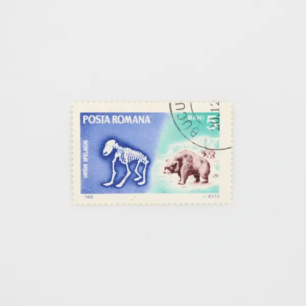 Lot of 5 Romania 1966 Prehistoric Animals Stamps SC #1887-91 Used OG