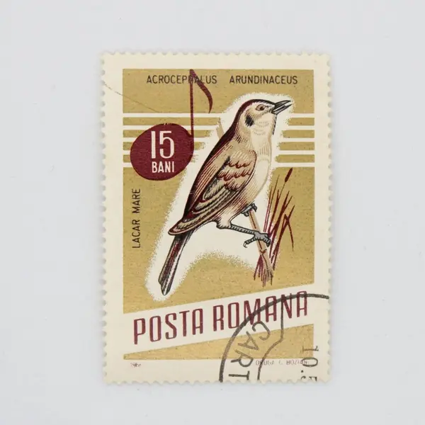 Lot of 5 Romania 1966 Songbirds Used Stamps Scott #1837-38 #1841-42 #1844