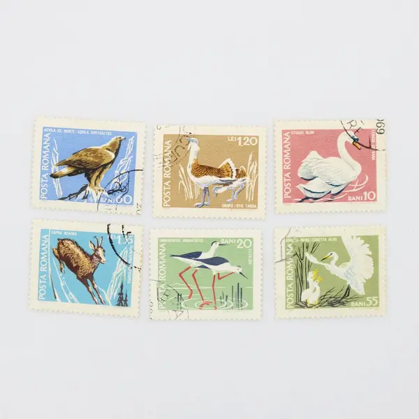 Lot of 6 Romania 1968 Protected Wildlife Stamps Sc 2047-2052 Used