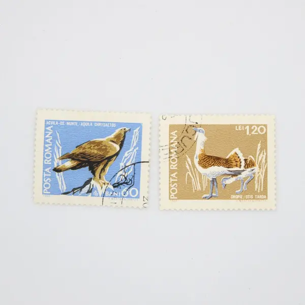 Lot of 6 Romania 1968 Protected Wildlife Stamps Sc 2047-2052 Used