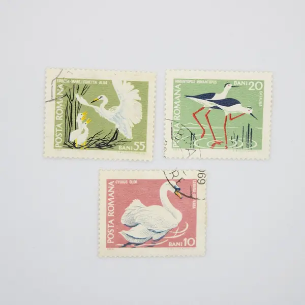 Lot of 6 Romania 1968 Protected Wildlife Stamps Sc 2047-2052 Used