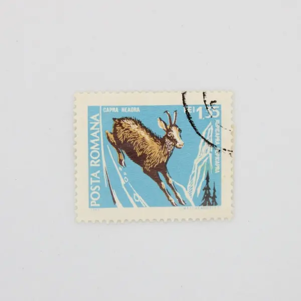 Lot of 6 Romania 1968 Protected Wildlife Stamps Sc 2047-2052 Used