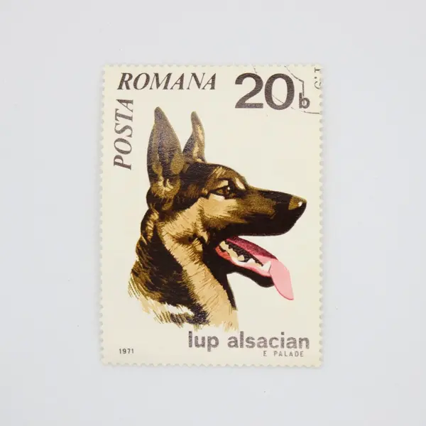Lot of 4 Used Romanian Horse & Dog Stamps 1970-1971 B20 B35