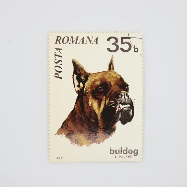 Lot of 4 Used Romanian Horse & Dog Stamps 1970-1971 B20 B35