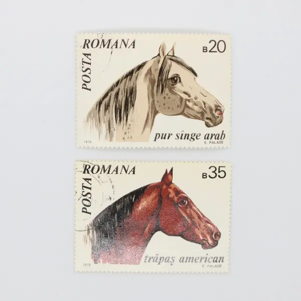 Lot of 4 Used Romanian Horse & Dog Stamps 1970-1971 B20 B35