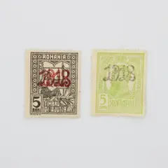 Romania 1918 Overprint Postage Stamps Pair 5 Bani Two Designs