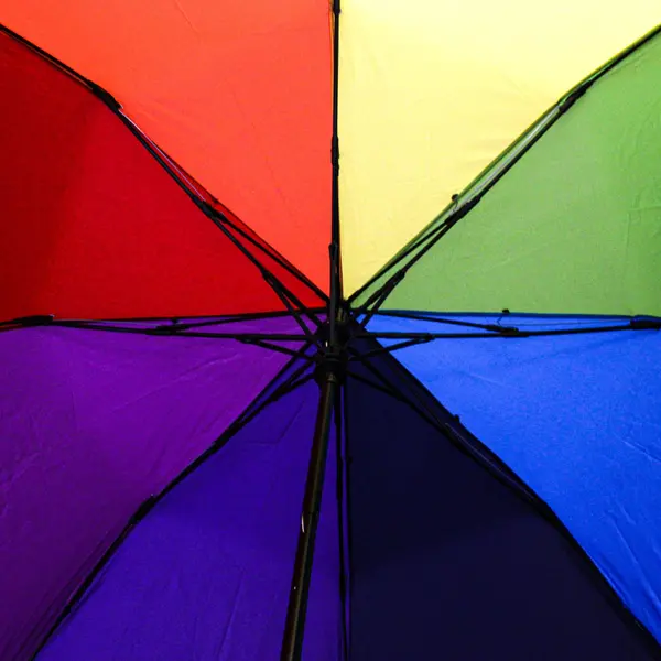 Totes Rainbow Auto-Open 24 Rib Stick Umbrella 