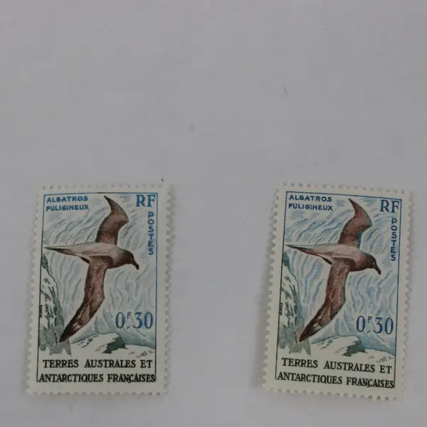 Lot of 6 TAAF French Antarctic Stamps Scott #12-14 1959