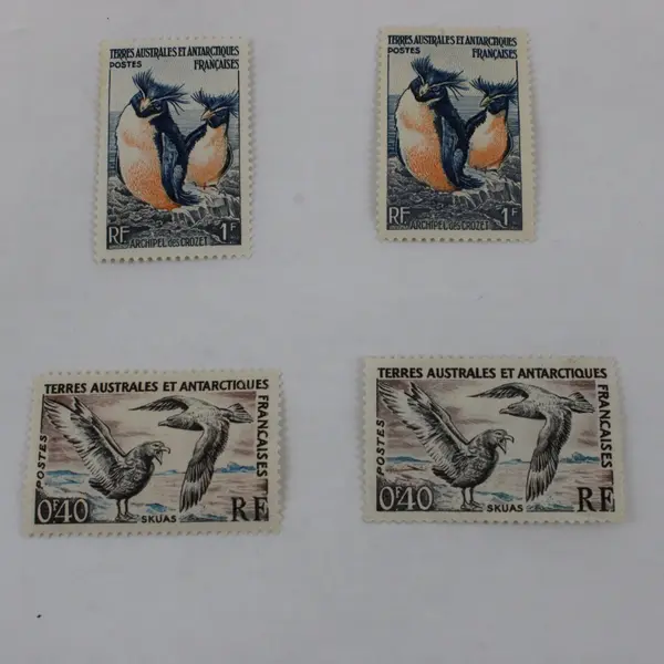 Lot of 6 TAAF French Antarctic Stamps Scott #12-14 1959