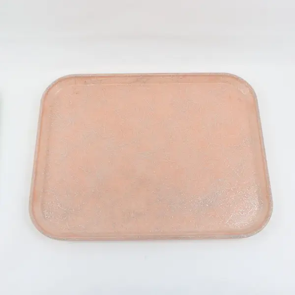 Cambro Lot of 2 Cafeteria Lunch Trays Hard Plastic 14 x 18 Aqua Salmon