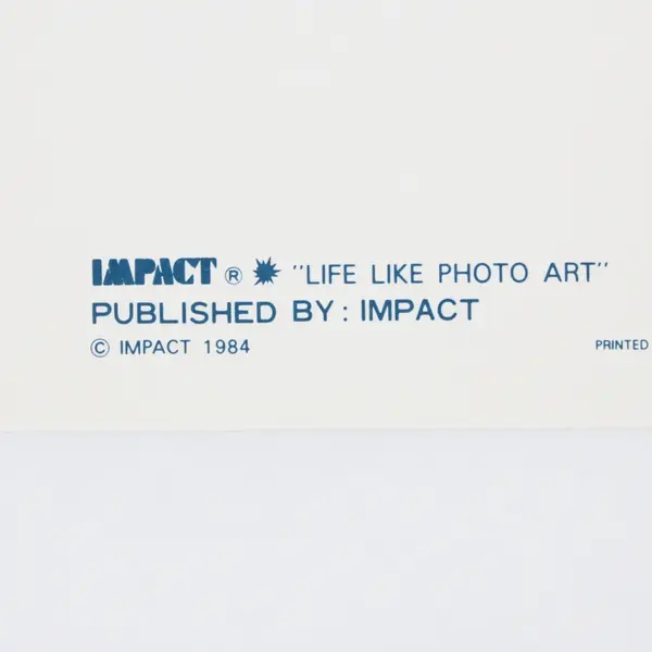 Impact Maui Hawaii 12 Laser Postcards Unused Set Presentation Folder