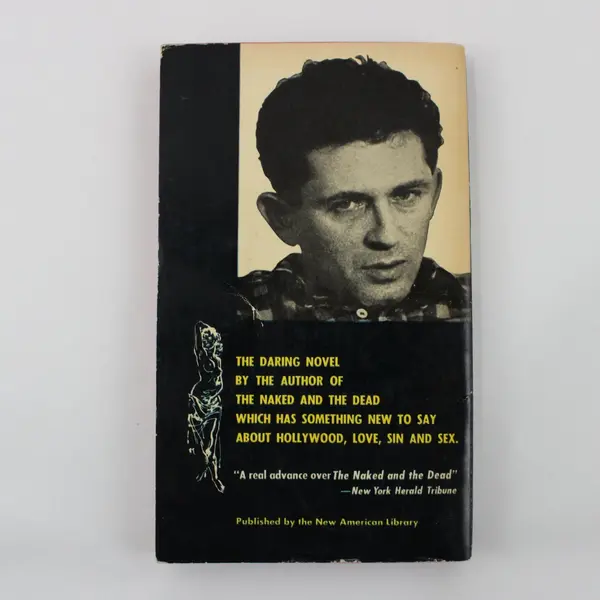 Vintage The Deer Park by Norman Mailer 1960 Paperback Complete Unabridged 