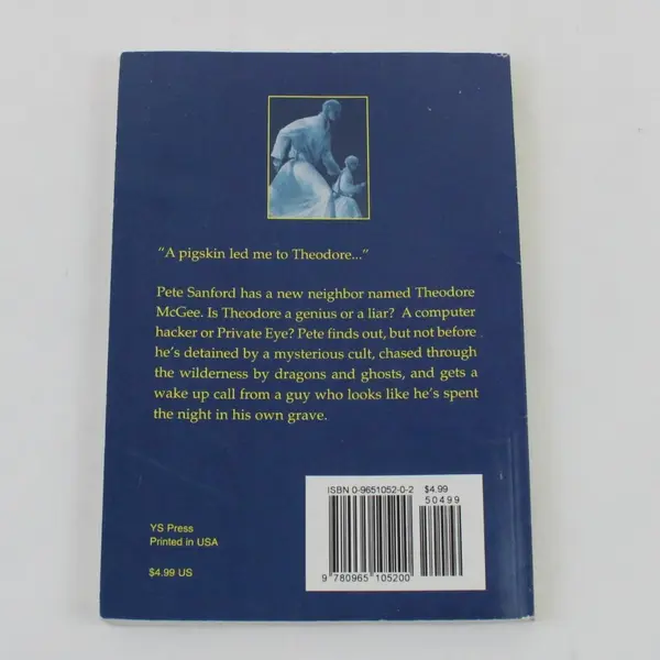 Amy's Missing Roland C. Smith Youth Sleuths Paperback Mystery