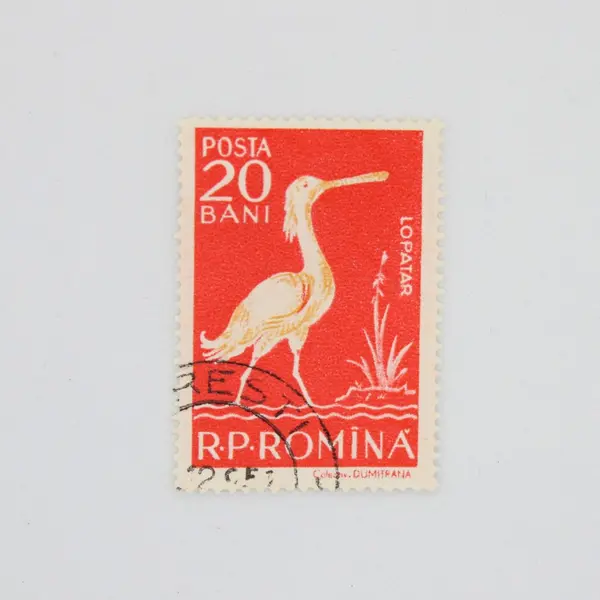 Lot of 3 Romania 1957 Water Birds Stamps Scott #1194-1196 Used