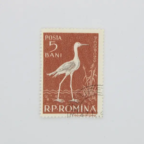 Lot of 3 Romania 1957 Water Birds Stamps Scott #1194-1196 Used