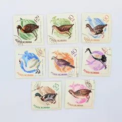 Lot Of 8 Romania 1965 Birds Stamps SC #1767-70 1773-76 Used