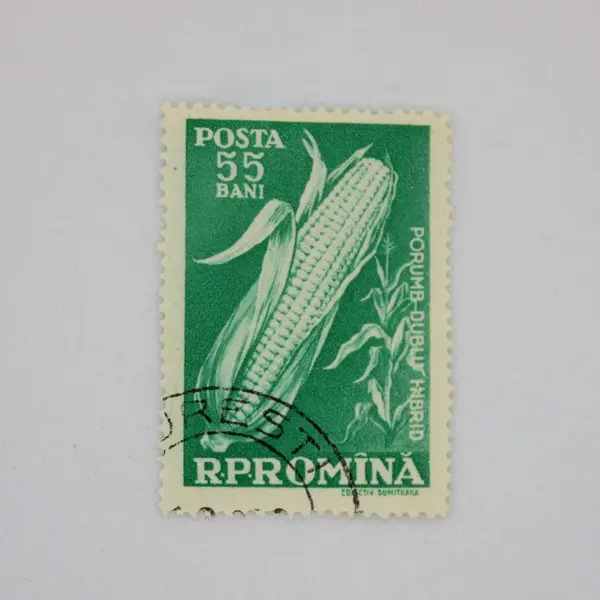 Lot of 5 Used Romania Postage Stamps 10th Anniversary Collective Farming