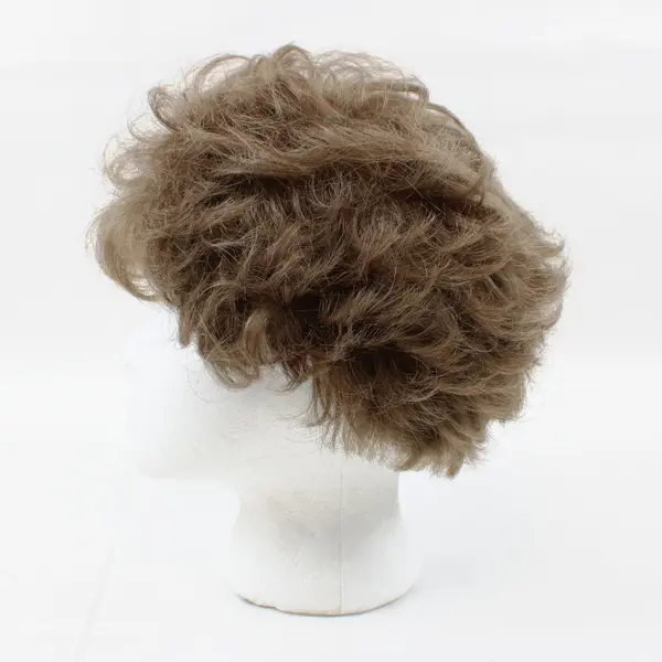 Eva Gabor Short Curly Synthetic Wig Dark Ash Brown Pre-Owned