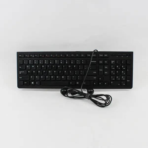 Lenovo KB4721 25209112 USB Wired Keyboard Black QWERTY Numeric Keypad
