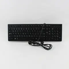 Lenovo KB4721 25209112 USB Wired Keyboard Black QWERTY Numeric Keypad